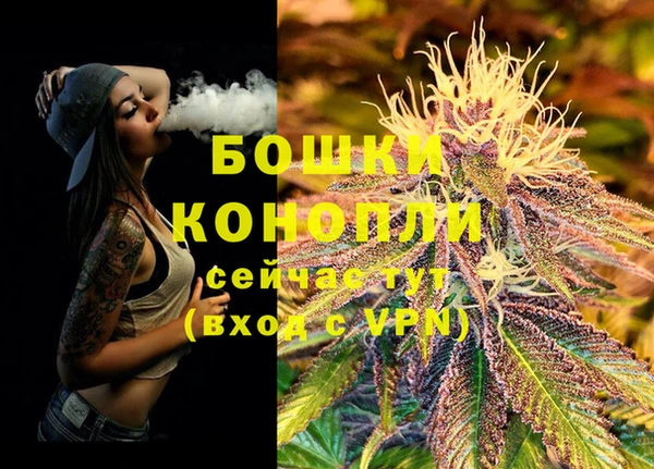 гидропоника Вяземский