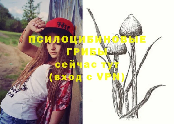соль курить ск Вязьма