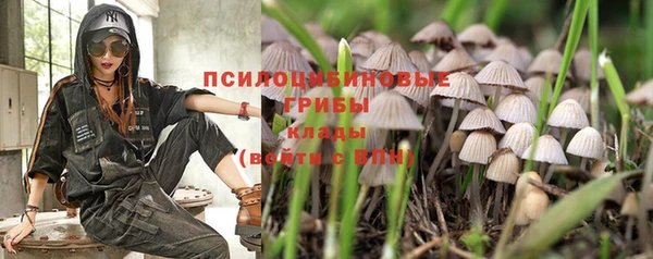 кокс Володарск